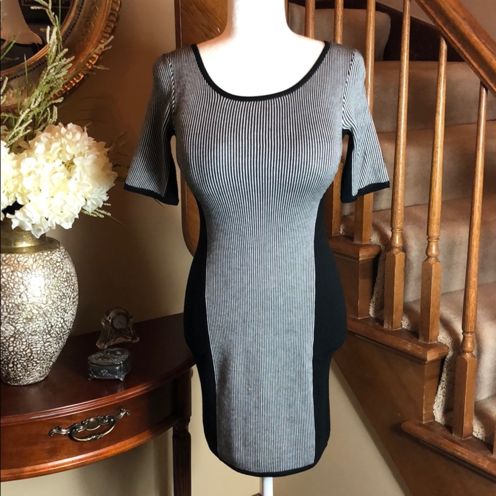 BB DEKOTA Black/white striped  zip up dress XS